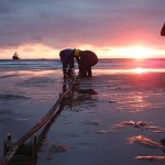 Tuyến cáp quang biển Việt Nam đi Quốc tế AAG bị đứt